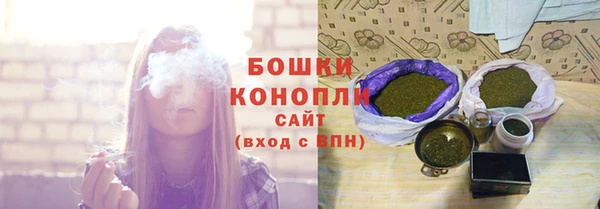 стафф Богородск
