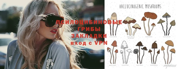 дурь Богородицк