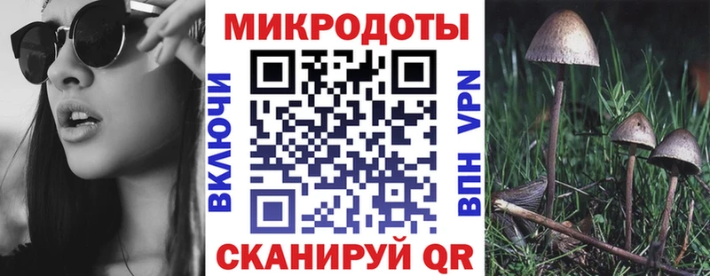 Псилоцибиновые грибы Cubensis  Купить закладки  Кондопога 
